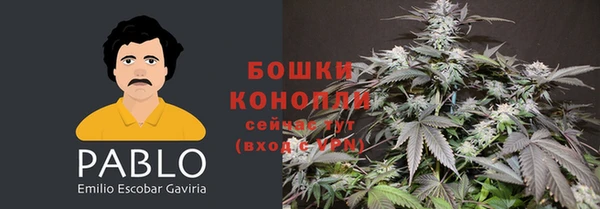 прущий лед Абаза