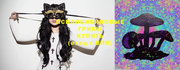 прущие крисы Переславль-Залесский