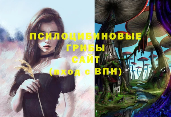 трава Абдулино