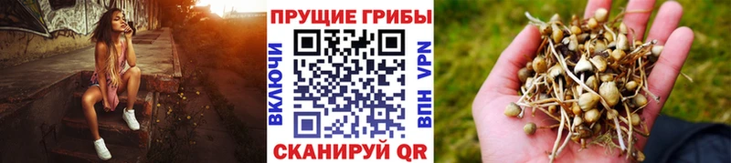 Галлюциногенные грибы ЛСД  купить наркотики сайты  площадка состав  Шлиссельбург 